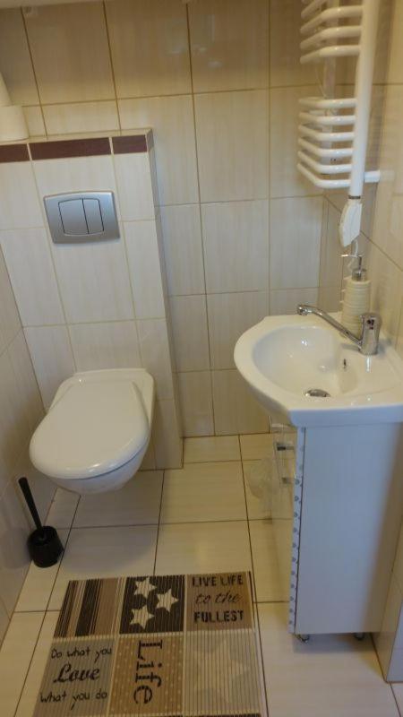 Pokoje Goscinne Lesny Zakatek Kepiaste Dış mekan fotoğraf