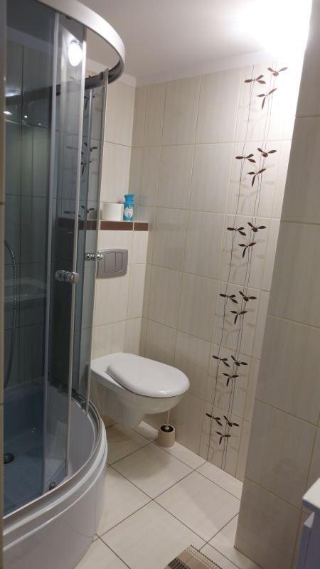 Pokoje Goscinne Lesny Zakatek Kepiaste Dış mekan fotoğraf